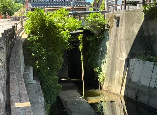 中間唐戸